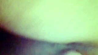 sundaydogood614 update 44 c360vid.