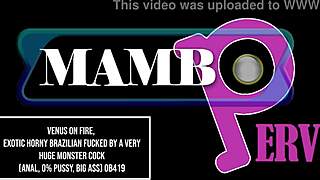 venus, you're so horny getting fucked by that huge monster cock in anal!