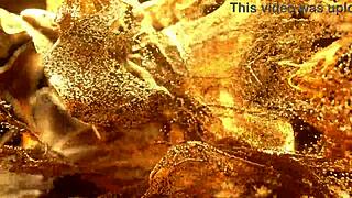 natasha teen takes lancelot for wild anal fisting