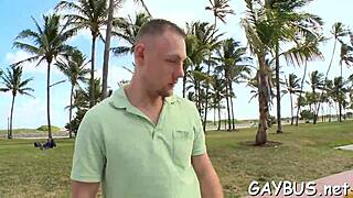 Wow! Gay Bear Porn Scenes Explode with Raw Action!