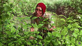 Big Ass Stepsister Tries Anal in 3D Hentai Animation