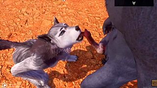 i watch the alpha wolf fuck the hot she-wolf in wild life with some erros