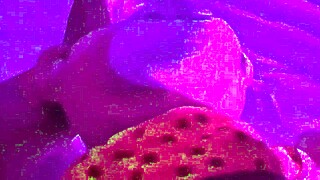 A young girl desperately pleasures herself with a stuffed animal until climax