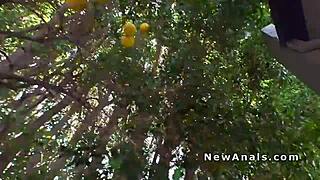 Hey babe, take it deep in the backyard, let me bang that latina ass hard while the neighbors watch us go at it!