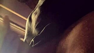 Lluvia de penes with Bad Wolf28 in raw uncensored banging.