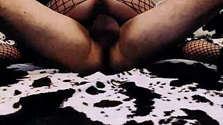 Hey, check out this hot home couples banging compilation!