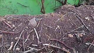 Brazilian teen’s big ass pounded hard in public interracial action