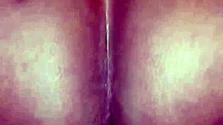 Can You Watch Pussy Play?