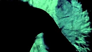 vintage lesbians in pornostalgia action