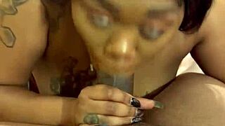 hot and creamy sex in the living room with blowjob and missionary fucking