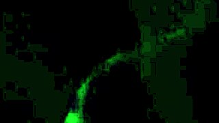 sucking huge cock in dark