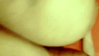 sundaydogood614 - update 232 - vid 20240609 012403 - jun 09 2024