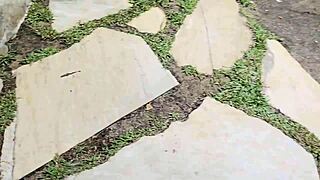 found a hottie at the park, invited her over, woke up banging hard?