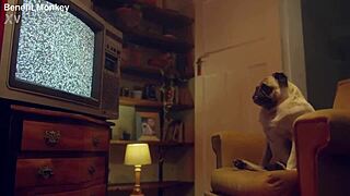 Candee Licious And Lili Charmelle In Threesome With Toys.