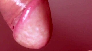 无码日本美女近距离口交特写