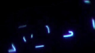 Slender brunette moans as she's pounded in missionary, then gets a load on her trimmed bush.