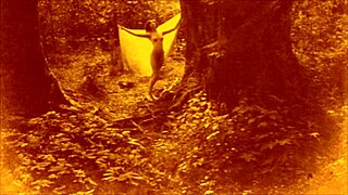 Retro vintage antique illustration