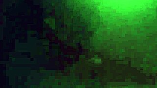 Behind the Scenes: Pornstar Champion Wrestles Ebony Babe for BJ & Sex!