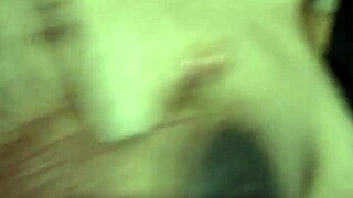 kinky kitten brought in for awkward therapy session