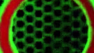 Pawgs Miss Raquel In Lingerie