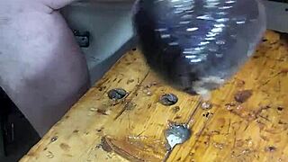 Mature woman stretches with huge dildos