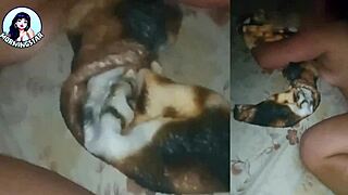 What if fudendo a casada safada por tras na beira da cama?