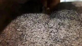 wet pussy masturbation leads to intense orgasm and creampie in homemade solo