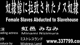 Japanese Mistress Minami Boldly Spanks And Trains Her Male And Female Slaves In Intense Domination Session