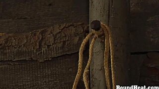 curvy lesbian slave bound and fingered by dominant madame in bdsm session