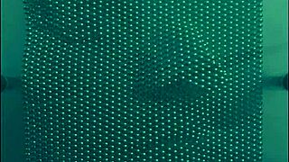 I Scream Harsh Noise During A Pop Song In California