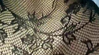 big ass latina in lingerie craves cum