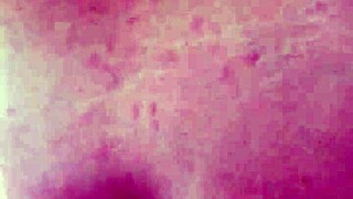 First week of college got outta hand with a threeway - Laney Grey, Lyra Lockhart, Brad Newman