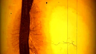 neighbor fingers me while husband works 24 hours