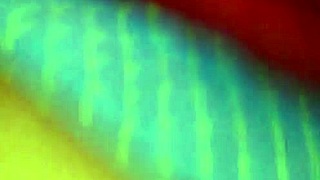 Wow, check out this huge big ass bubble butt on that amateur lady!