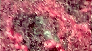 I'm eating this enormous ass before dumping my cum in her mouth!