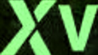 oh gosh i love ridin this horse on the trail with friends its so fun and free