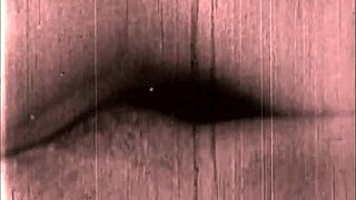 vintage drawings show antique scenes with big ass and big tits in retro erotic style from old times