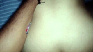 The zorra of am�rica latina dmrs-f is here