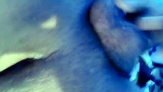 What makes trans sola so captivating in solo play?