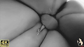 Trailer Hints at Adventure with Brother-in-Law Leading to Pussy Play