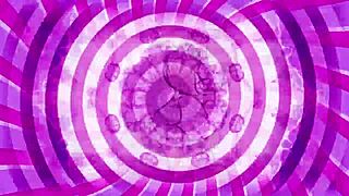 Bimbo femdom with big tits teasing in jerk off instructions