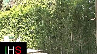 How Does This Sexy Curly Brunette Handle Huge Black Cock Leading To Creampie Finish?