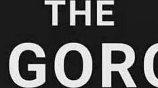 asian slut polly pons takes big cock deep in ass with wet pussy slap and facial cumshot