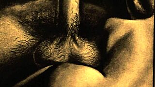 Vintage drawings showcase erotic hairy figures in retro antique style with detailed vintage elements