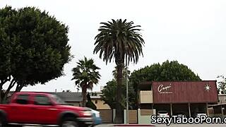 Classy Les Mature Grinding Pussy With Babe In Close Up Fantasy Fetish Scene