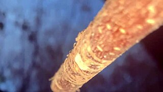 Real Life Witch Experiences Hardcore Doggystyle Fucking with Black Monster Cock in Forest Outdoors