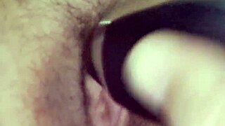 i love tasting sammie