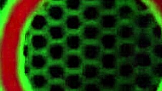 Vicky Vette's Mature Milf Pussy Lips Spread Wide for Boss in Sexy Lingerie Tease