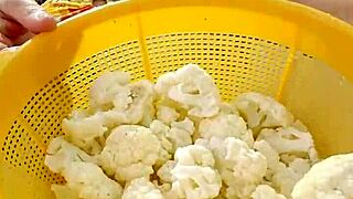 i love shoving shorts deep into my pussy till it's super split