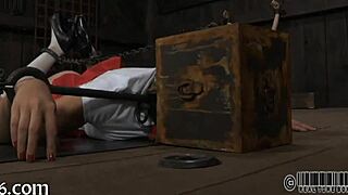 four petite angels cram tight 18+ cage together